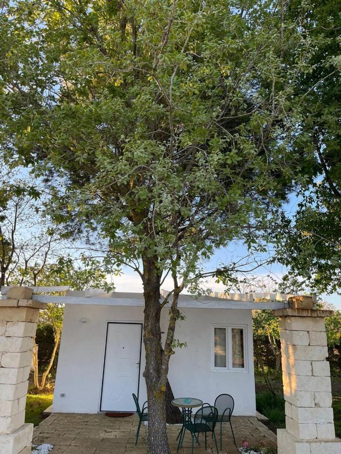Agriturismo Tenuta La Monaca Aradeo Εξωτερικό φωτογραφία