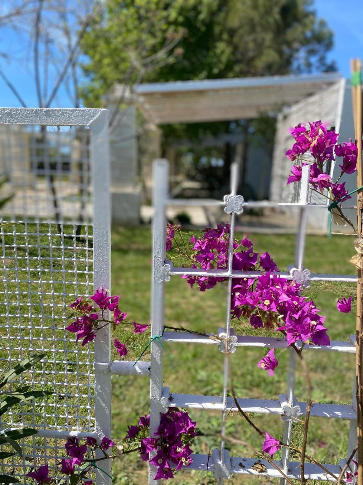 Agriturismo Tenuta La Monaca Aradeo Εξωτερικό φωτογραφία